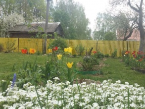 Забор из евроштакетника с забивными столбами 74 метра фото цена за метр под ключ